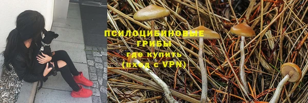spice Вязники