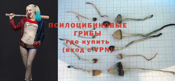 spice Вязники